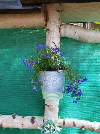 Лоджи Pensiunea Padina Бран-2