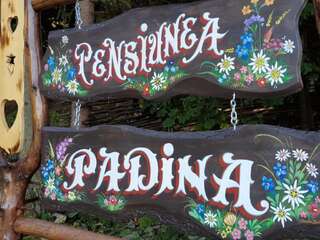 Лоджи Pensiunea Padina Бран Дом с 5 спальнями-2