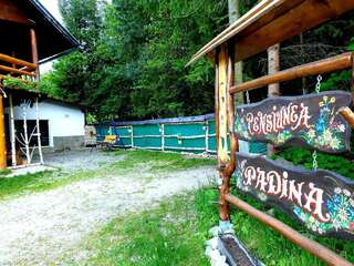 Лоджи Pensiunea Padina Бран-4