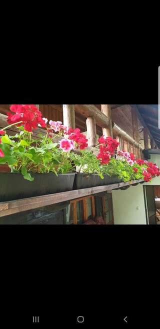 Лоджи Pensiunea Padina Бран-6